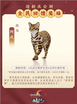 北境之主天龙八部私服